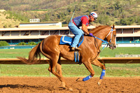 Ruidoso Downs, New Mexico